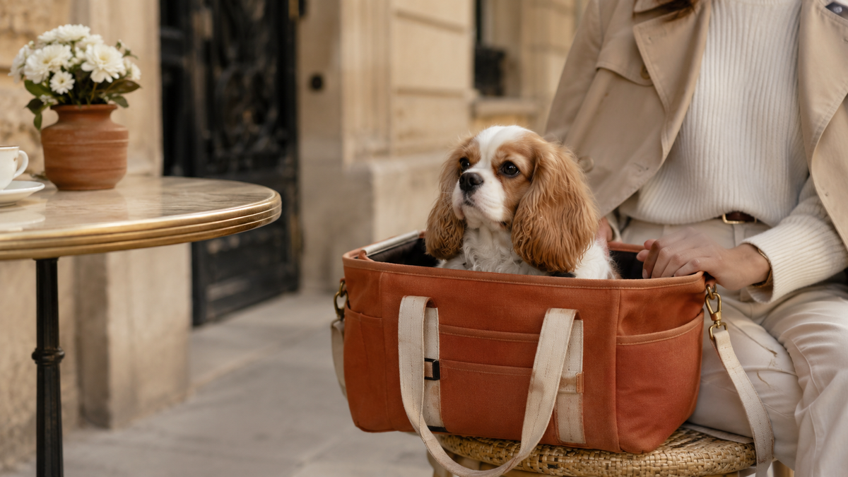 Comment bien choisir la taille du sac de transport de votre chien Image