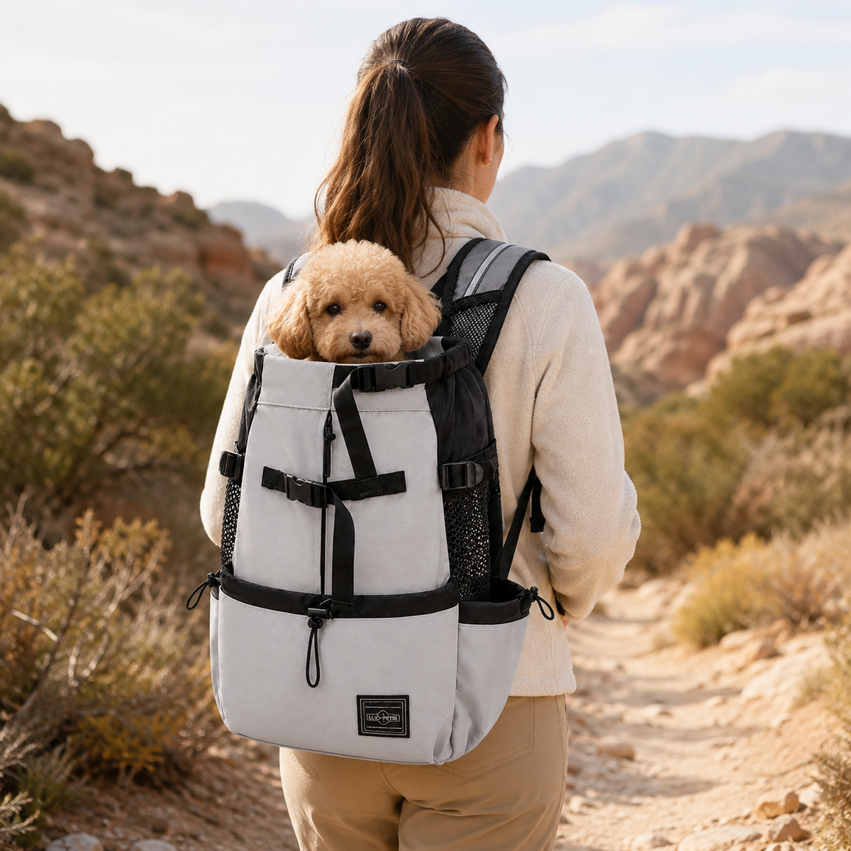 Sacs à dos pour chien Image
