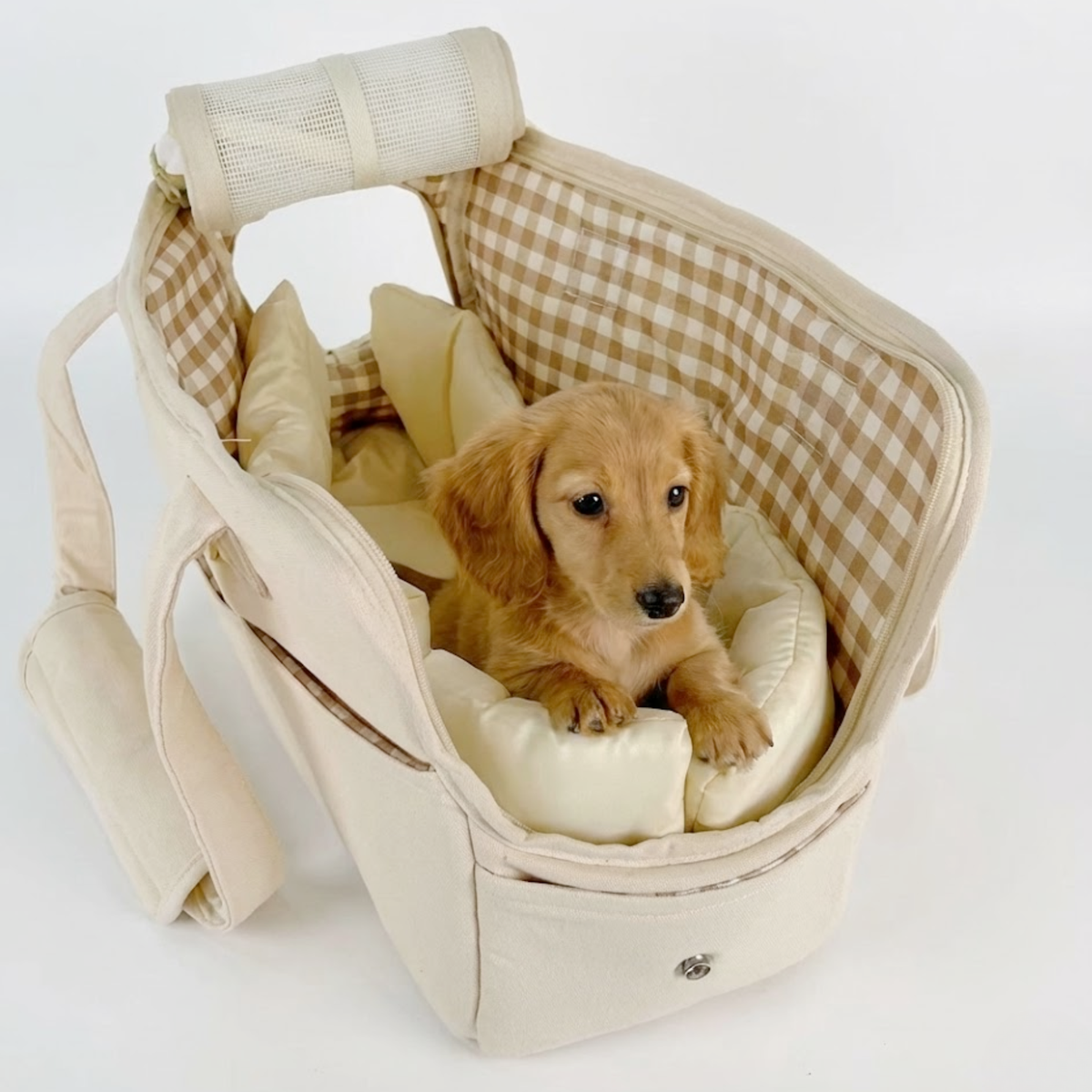 Sac à main de transport pour chien, poignées renforcées, tailles Petit et Moyen, jusqu'à 6 kg