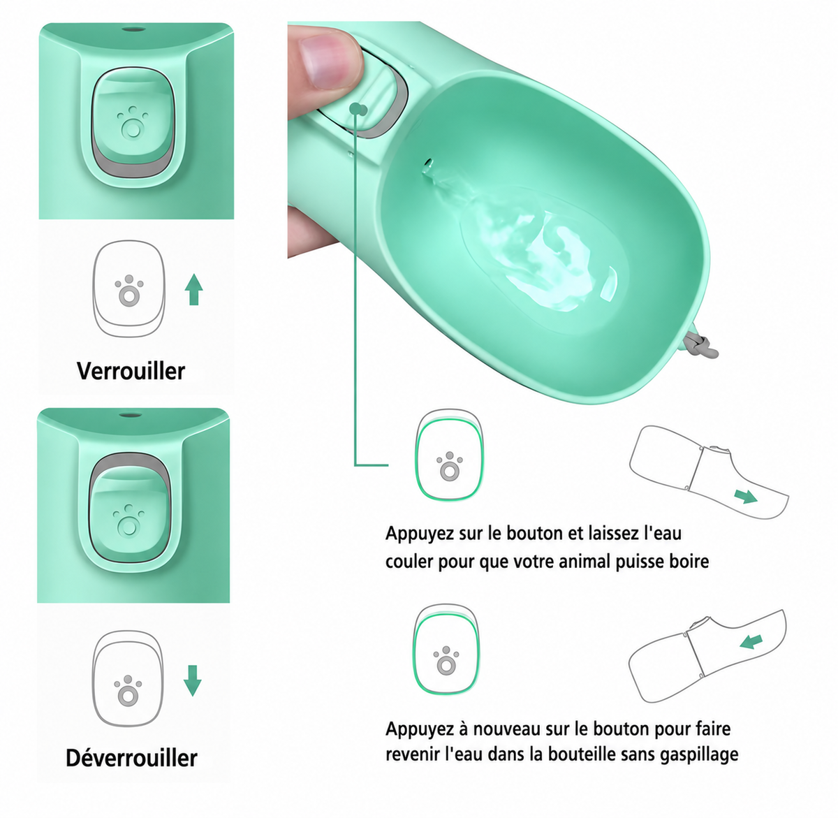 Gourde portable pour chien avec bol intégré, système anti-gaspillage, 350 ou 550 ml