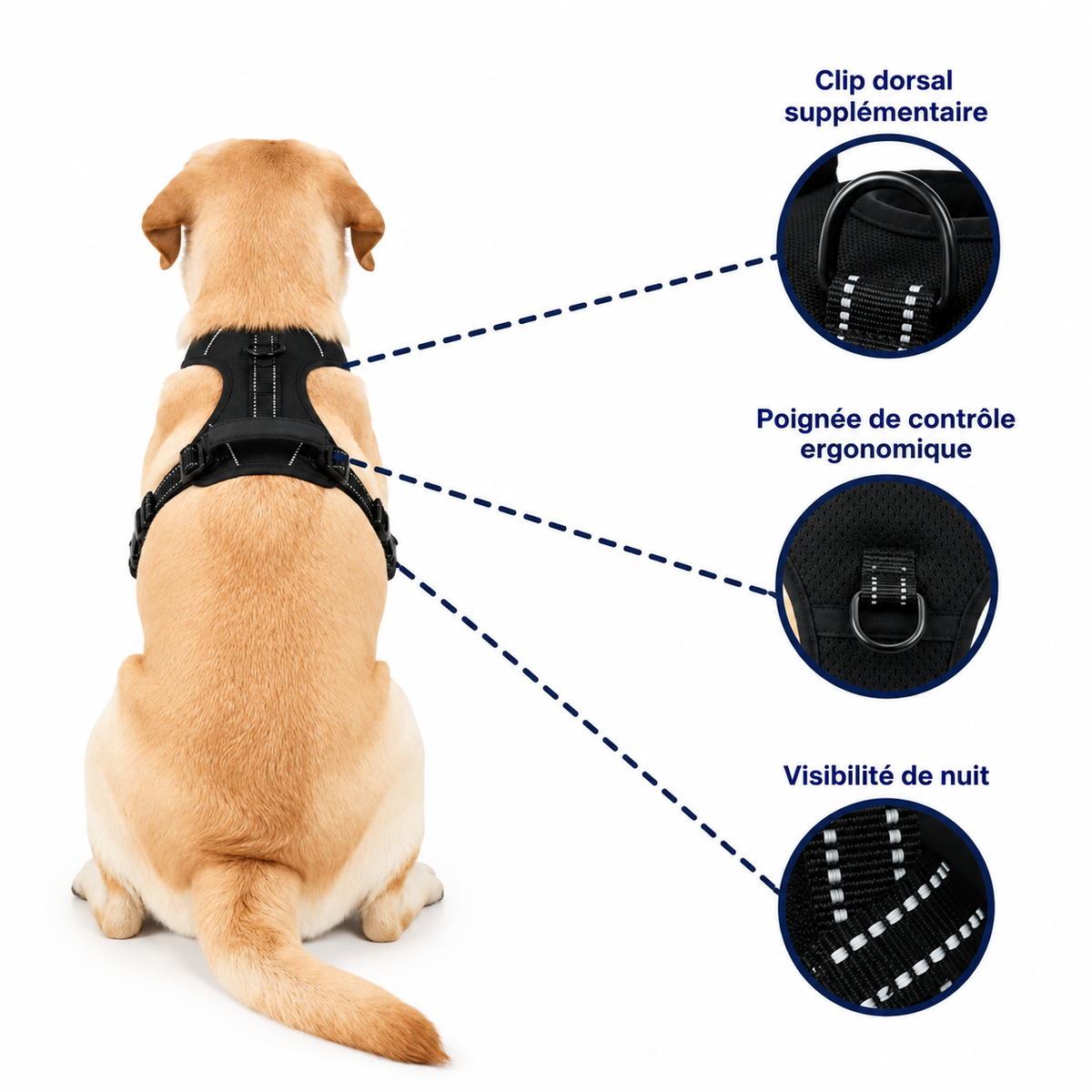 Harnais anti-traction pour chien réglable, maille respirante, tailles S à XL, 4 à 45 kg