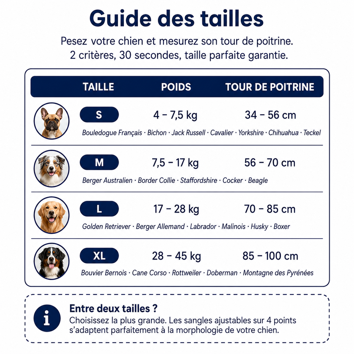 Harnais anti-traction pour chien réglable, maille respirante, tailles S à XL, 4 à 45 kg