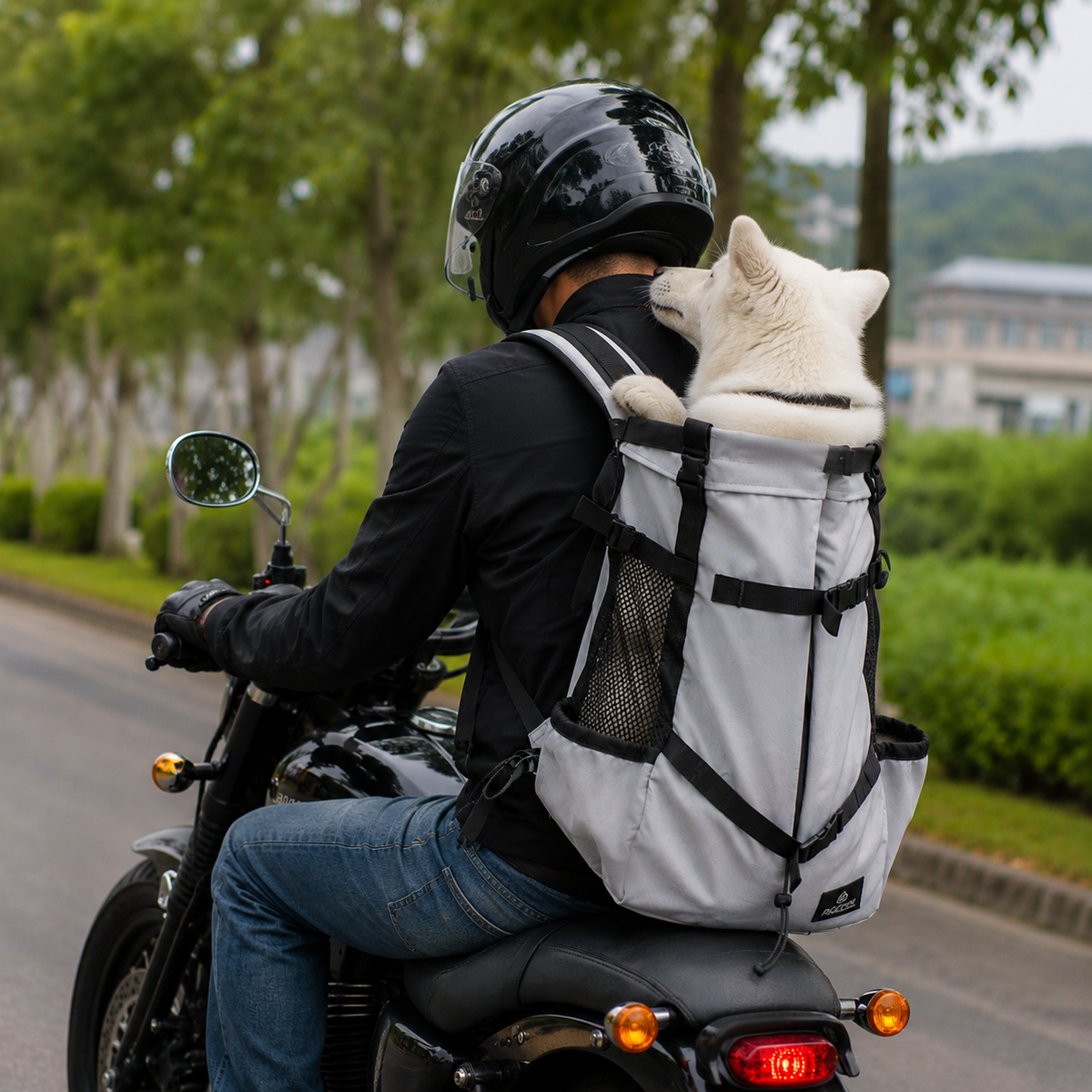 Sac à dos de transport pour chien randonnée et vélo, tailles S à XL, 1 à 15 kg