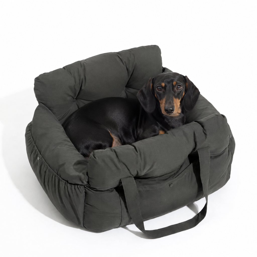 Siège auto pour petit chien rembourré, poignées de transport intégrées jusqu'à 20kg